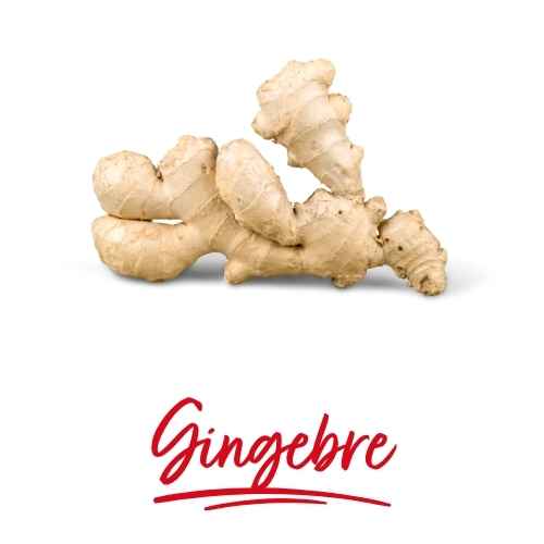 gingebre