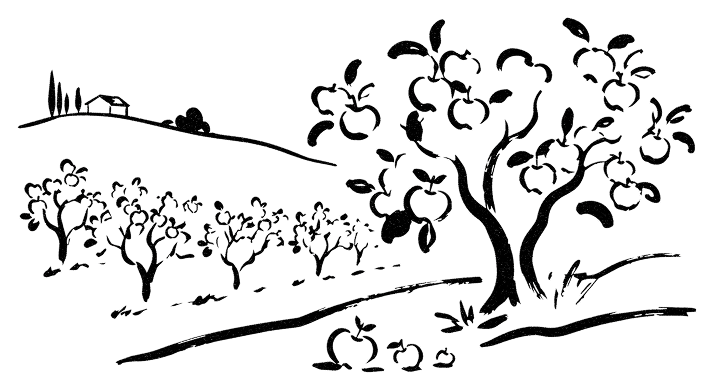Il·lustració d'un arbre, símbol del compromís mediambiental de Good Bio Foods