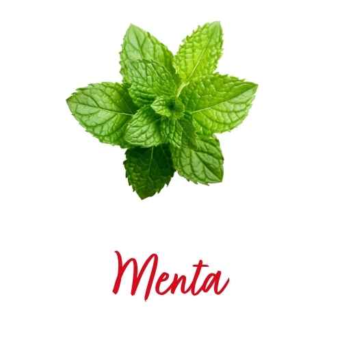 menta