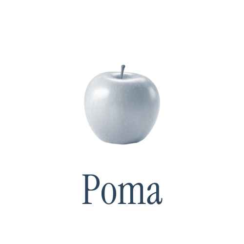 Poma ecològica de Lleida, ingredient base de Sin Gas