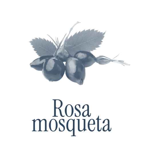 Rosa mosqueta, ingredient natural de la beguda isotònica Sin Gas